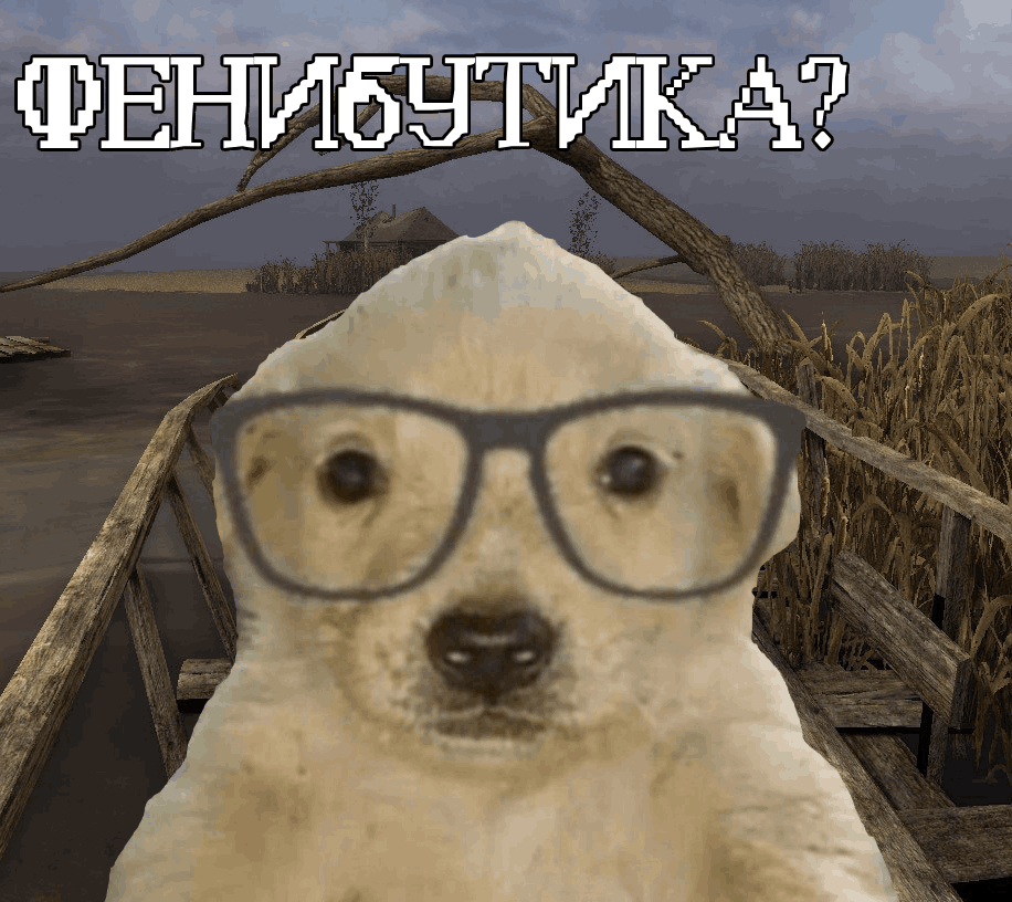 OMG0jaJfHEo.png